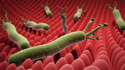 نصائح مهمة لتجنب الإصابة بجرثومة المعدة