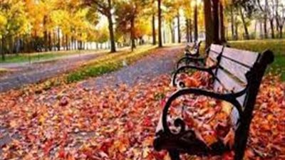 الحسابات الفلكية تكشف موعد بداية فصل الخريف رسميا