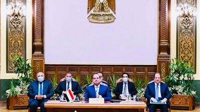 الرئاسة تنشر البيان الختامي للقمة الثلاثية المصرية الأردنية الفلسطينية 