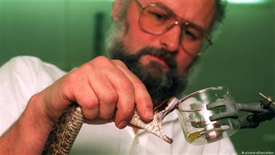 هل سم الثعبان يستخدم لعلاج كورونا؟.. شاهد رد المتخصصين (فيديو)