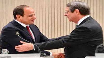 عضو بالشيوخ: موقف مصر لم يتغير من القضية القبرصية طوال تاريخها 