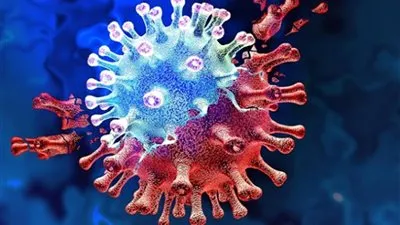 الصحة العالمية: سنراقب الوضع الوبائي في مصر بعد عودة الطلاب للمدارس 