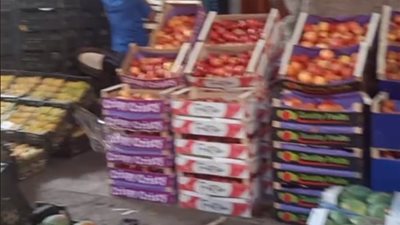 أسعار الخضروات اليوم الأربعاء  في الدقهلية