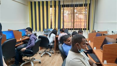 دورة في الكمبيوتر للطلاب ذوي الإعاقة البصرية بجامعة عين شمس