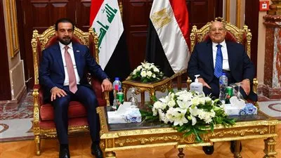تفاصيل لقاء المستشارعبدالوهاب عبدالرازق رئيس البرلمان العراقي (صور)