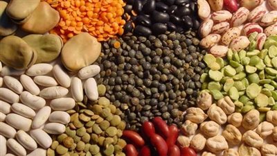 أسعار البقوليات اليوم الخميس في الدقهلية