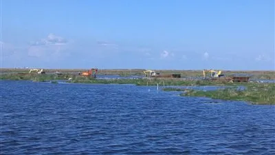 الثروة السمكية: ارتفاع إنتاج بحيرة المنزلة إلى 83 ألف طن (فيديو)