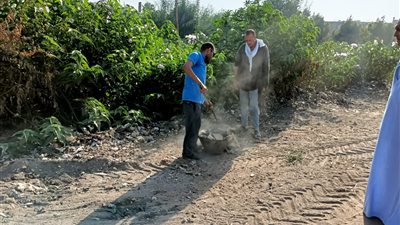 رفع 1800 طن قمامة ومخلفات من شوارع مركز أبشواي بالفيوم (صور)