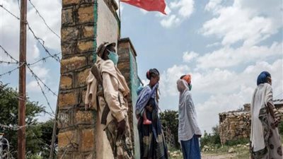 المصري للشؤون الخارجية: على أمريكا أن تظهر الغضب صوب إثيوبيا 