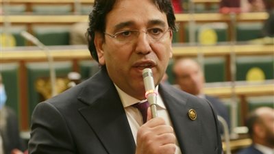 برلماني يطالب بوضع خطة لإقامة صناعات تعتمد على المواد الخام الطبيعية المتاحة