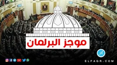 موجز البرلمان| إطلاق أول وثيقة تأمين للمصريين.. وإقالة مدير مستشفى العباسية