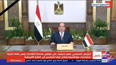 الرئيس: مصر حريصة على تصدير اللقاحات للقارة الإفريقية 