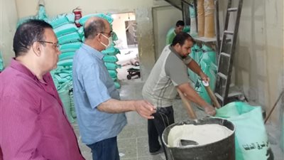 حملة تموينية مكبرة بمركزي بلقاس ونبروه في الدقهلية 