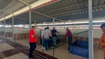 بدء التشغيل التجريبي لأسواق الخير كبديل للباعة الجائلين بالعبور.. غدًا 