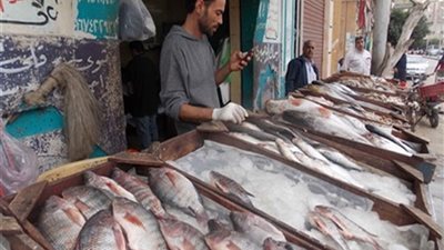 أسعار الأسماك اليوم السبت في الدقهلية