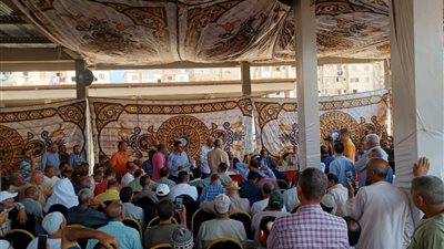 القنطار فوق الـ 4500 جنيها.. في أول مزاد للقطن بكفر الشيخ