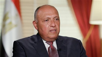 وزير الخارجية يكشف تفاصيل اللقاء مع الأمين العام للأمم المتحدة (فيديو)