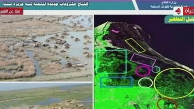 عاجل.. السيسي عن بحيرة المنزلة: 