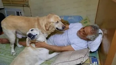 توفيق عبد الحميد ينشر صور مع كلابه الخاصة