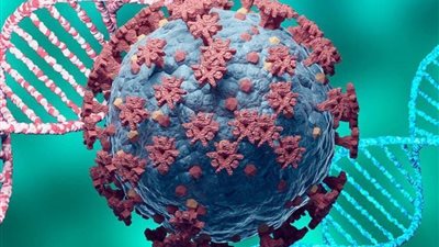 برلمانية تطالب الموظفين والعمال بسرعة التطعيم بلقاح كورونا 