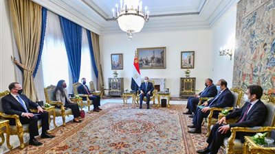 القضية الفلسطينية وسد النهضة.. رسائل السيسي في لقائه بمستشار الأمن القومي الأمريكي