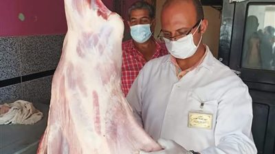 ضبط لحوم مذبوحة خارج السلخانة في حملة تموينية بالدقهلية (صور)