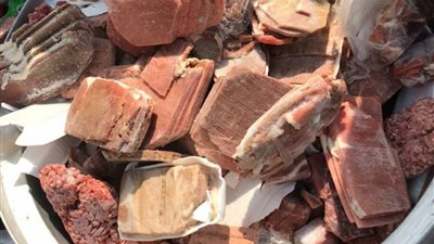 ضبط 5 طن لحوم وأسماك فاسدة فى الغربية (صور)