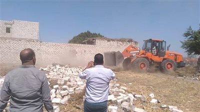 الآثار تشن حملة لاسترداد عدد من المواقع ببني سويف (فيديو)