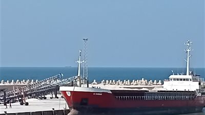 تصدير 3400 طن ملح إلى لبنان عبر ميناء العريش    