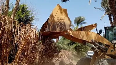 محافظ قنا: أزلنا 402 حالة تعد خلال الموجة 18 