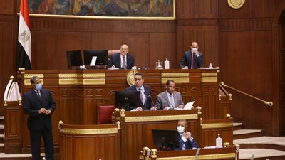 اليوم.. مجلس الشيوخ ينتخب هيئات مكاتب اللجان النوعية