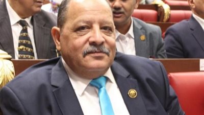 فى الذكرى الـ 48 لنصر أكتوبر.. برلماني: الجيش المصري سيظل مثالًا يُحتذى به