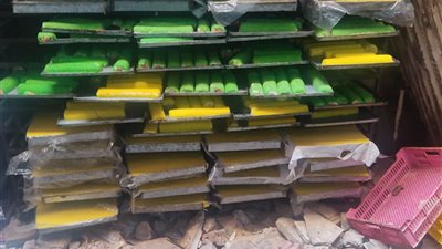 الصحة: ضبط وإعدام 27 طن حلوى وأغذية غير صالحة للاستهلاك بالمحافظات