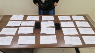 ضبط سيدة لنصبها على المواطنين في القاهرة 