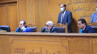 قرارات هامة خلال محاكمة عائشة خيرت الشاطر و30 آخرين