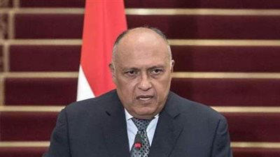 وزير الخارجية: مصر تقوم بدور كبير لمواجهة الهجرة غير الشرعية (فيديو)