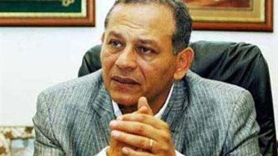 السادات: وفد الكونجرس متابع لنجاحات مصر الاقتصادية