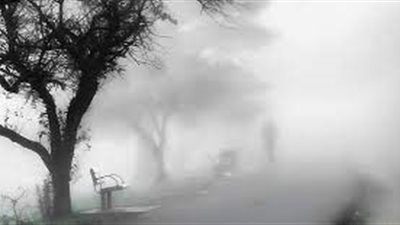 تفاصيل طقس السعودية.. ضباب بهذه المناطق ورياح نشطة