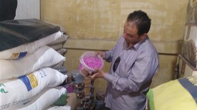 حملة تموينية مكبرة على مصانع حلوى المولد النبوي في المنصورة 