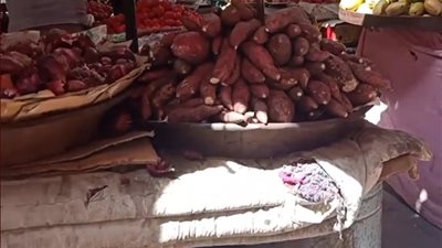 اسعار الخضروات والفاكهة اليوم الاثنين في الدقهلية 