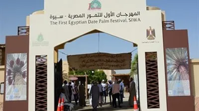 محافظ الوادي الجديد يوضح أهمية مهرجان التمور (فيديو)