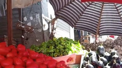 أسعار الخضروات والفاكهة اليوم الثلاثاء في الدقهلية 