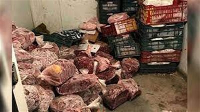 التحفظ على نصف طن لحوم ودواجن مجهولة المصدر بالإسكندرية