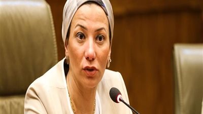 وزيرا البيئة والتنمية يناقشان خطط التشغيل وتحويل المخلفات إلى طاقة 