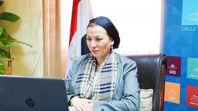 أول تعليق من وزارة البيئة علي تأثير بركان لابالما علي مصر 