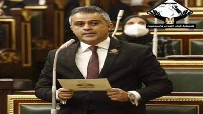 نائب التنسيقية: الدولة المصرية استطاعت القضاء على الإرهاب في جميع أنحاء البلاد