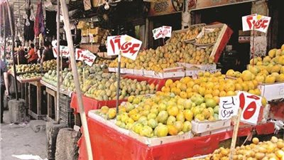 أسعار الخضروات اليوم الثلاثاء 13-9-2022 في أسواق محافظة قنا