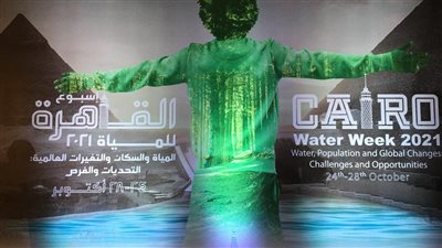 متحدث الري: مواجهة مصر لتحديات المياه نموذج للعالم يتعلم منه (فيديو)