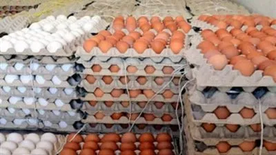 التموين: ضخ 7 آلاف طبق بيض مائدة يوميا بأسعار مخفضة