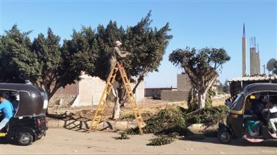 تفاصيل حملات مكبرة لرفع القمامة والإشغالات في 8 مراكز بالدقهلية.. صور 